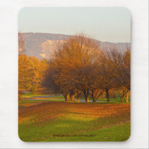 Rheinaue Park Muismat