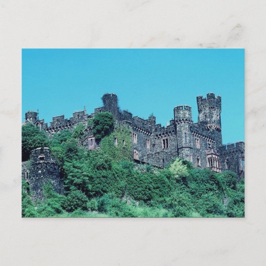 Rheinstein Castle, Rhine River, Duitsland Briefkaart (Voorkant)