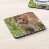 Rhesus Monkey Baby, Monkey Temple, Jaipur Bier Onderzetter (Linkerzijde)