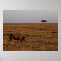 Rhino at Dusk - Poster d'Art de Mur de la Faune af