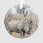 Rhino blanc (devant)