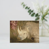 Rhino Briefkaart (Staand voorkant)