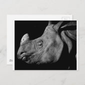 Rhino Briefkaart (Voorkant / Achterkant)