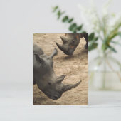 Rhino Briefkaart (Staand voorkant)
