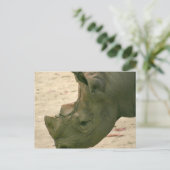 Rhino Briefkaart (Staand voorkant)