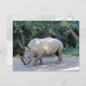 Rhino-Briefkaart Briefkaart (Voorkant / Achterkant)