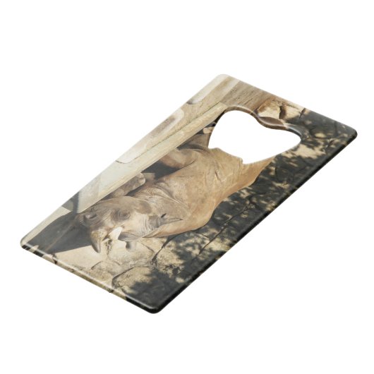 Rhino couché (Dos Angle)