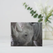 Rhino Facts Briefkaart (Staand voorkant)