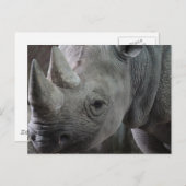 Rhino Facts Briefkaart (Voorkant / Achterkant)