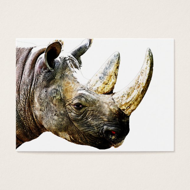 Rhino Head, Arrière - plan blanc (Devant)