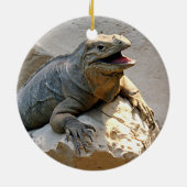Rhino Iguana Keramisch Ornament (Achterkant)