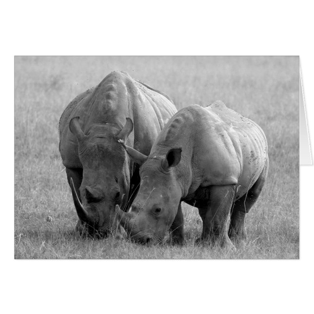 Rhino-kaart zwart-wit (Voorkant Horizontaal)