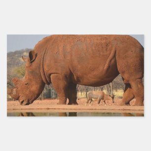 Rhino met modder op de huid rechthoekige sticker