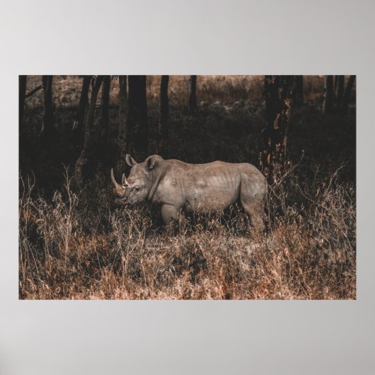 RHINO POSTER (Voorkant)