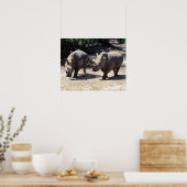 Rhino-Poster Poster (Keuken)