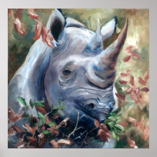 Rhino-Poster Poster (Voorkant)