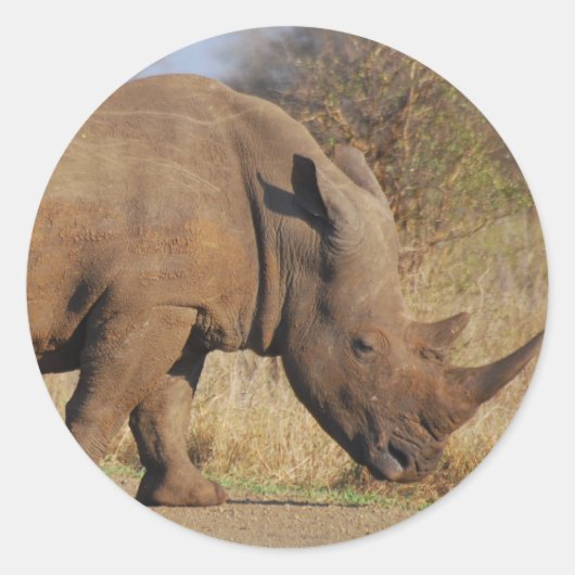 Rhino Ronde Sticker (Voorkant)