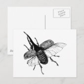 Rhinoceros Beetle Hout Engraving Briefkaart (Voorkant / Achterkant)