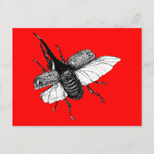 Rhinoceros Beetle  Hout Engraving Briefkaart