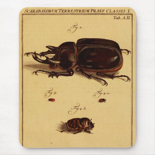 Rhinoceros Beetles Muismat (Voorkant)