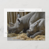 Rhinoceros   briefkaart (Voorkant / Achterkant)