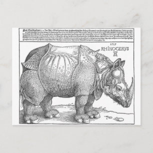 Rhinoceros door Albrecht Durer Briefkaart