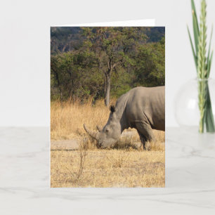 Rhinoceros familie Wenskaart Kaart