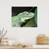 Rhinoceros Iguana Poster (Keuken)