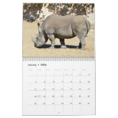 Rhinoceros-kalender Kalender (Jan 2026)