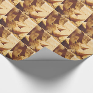 Rhinoceros Love Cadeaupapier