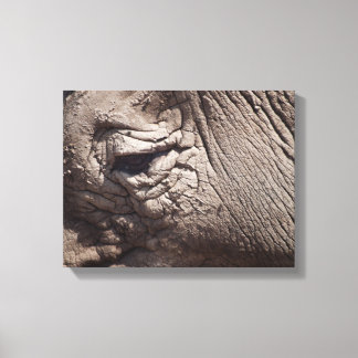 Rhinoceros oog canvas afdruk