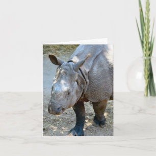 Rhinoceros Photo Folded Note Kaart