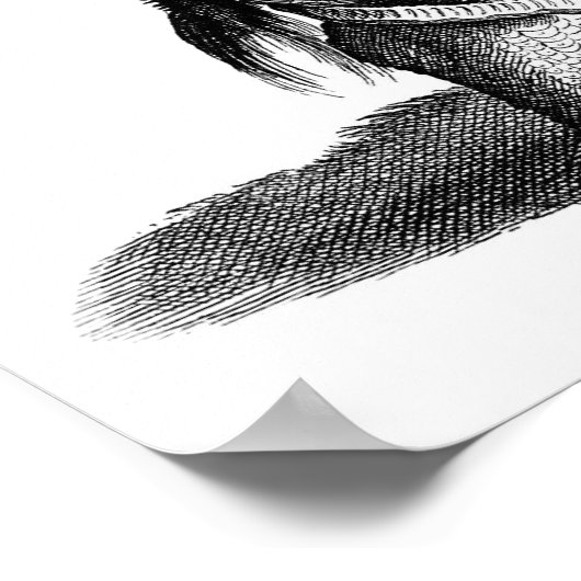 Rhinoceros Poster (Hoek)