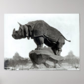 Rhinoceros Poster (Voorkant)