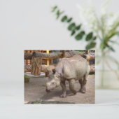 Rhinoceros unicornis briefkaart (Staand voorkant)