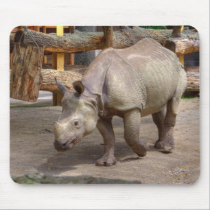 Rhinoceros unicornis muismat