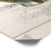 Rhinoceros van Oliver Goldsmith Poster (Hoek)