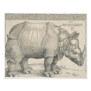 Rhinoceros Woodcut by Albrecht Durer Foto Afdruk