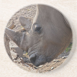 Rhinoceros Zandsteen Onderzetter