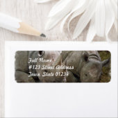 Rhinos dormant Étiquettes (En situation)