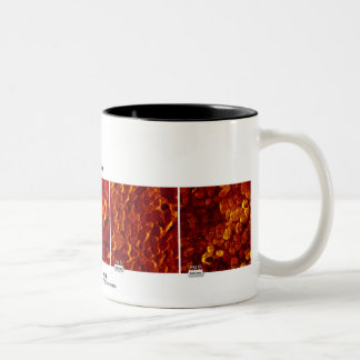 RHK-technologie - Afbeelding van de maand oktober Tweekleurige Koffiemok