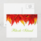 Rhode Island Autumn Leaves Carte postale (Devant / Derrière)