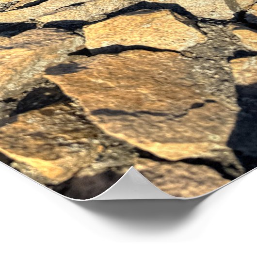 Rhode Island Cliff Walk Poster (Coin)