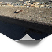 Rhode Island Cliff Walk Poster (Coin)