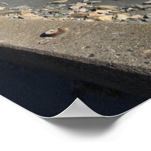 Rhode Island Cliff Walk Poster (Coin)