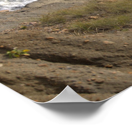Rhode Island Cliffside Waterscape Poster (Coin)