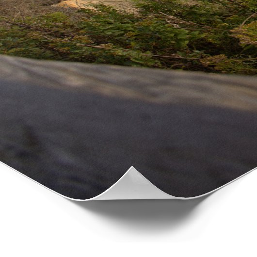 Rhode Island Cliffside Waterscape Poster (Coin)