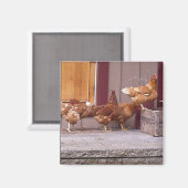 Rhode Island Magnet (Recto/Verso)