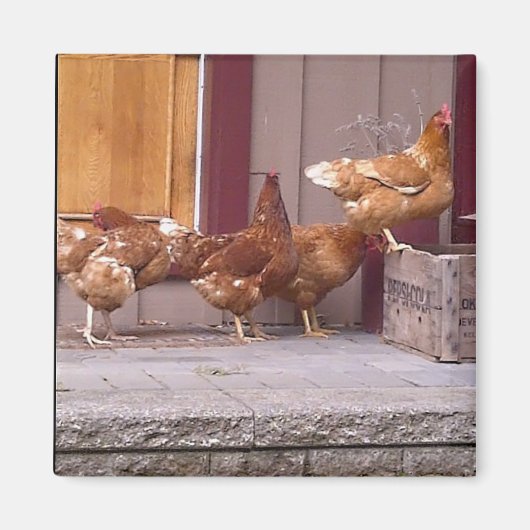 Rhode Island Magnet (Devant)