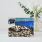 Rhode Island, Narragansett Afbeelding Briefkaart (Staand voorkant)